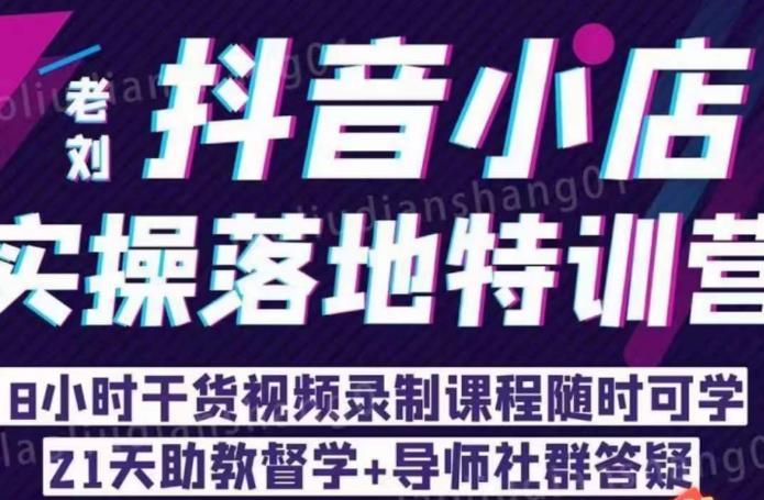 【副业项目6755期】老刘·抖店商品卡流量，​抖音小店实操落地特训营，8小时干货视频录制课程随时可学-天下副业