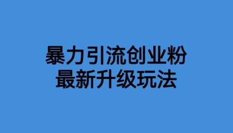 【副业项目6372期】价值1980一千个野路子暴力引流最新升级玩法【揭秘】-天下副业