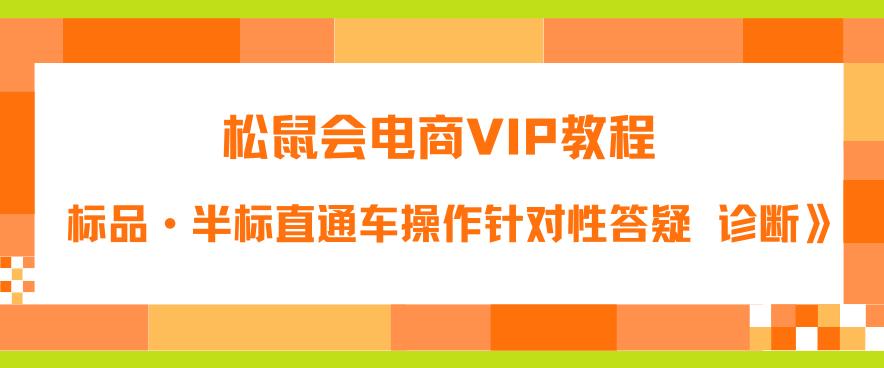 【副业项目6373期】松鼠会电商VIP教程：松鼠《付费推广标品·半标直通车操作针对性答疑&诊断》-天下副业