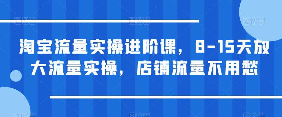 【副业项目6415期】淘宝流量实操进阶课，8-15天放大流量实操，店铺流量不用愁-天下副业