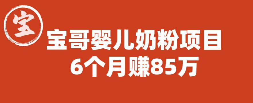 【副业项目6416期】宝哥婴儿奶粉项目，6个月赚85w【图文非视频】【揭秘】-天下副业