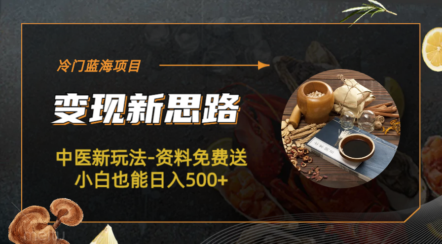 【副业项目6563期】冷门蓝海项目-中医新玩法-资料免费送小白也能日入500+-天下副业