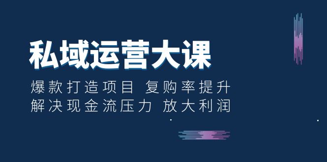 【副业项目6574期】私域运营大课：爆款打造项目 复购率提升 解决现金流压力 放大利润-天下副业