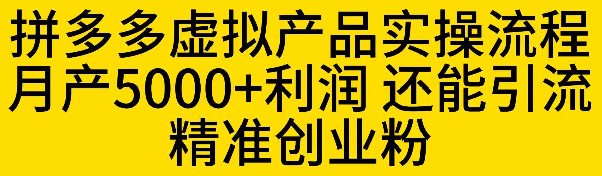 【副业项目6569期】拼多多虚拟产品实操流程，月产5000+利润，还能引流精准创业粉-天下副业