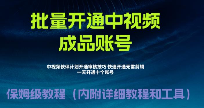 【副业项目6718期】外面收费1980暴力开通中视频计划教程，附 快速通过中视频伙伴计划的办法-天下副业