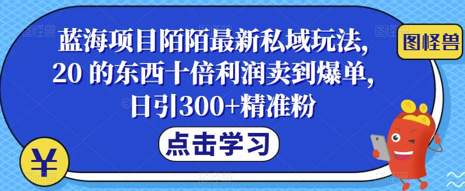 【副业项目6699期】蓝海项目陌陌最新私域玩法，20 的东西十倍利润卖到爆单，日引300+精准粉【揭秘】-天下副业