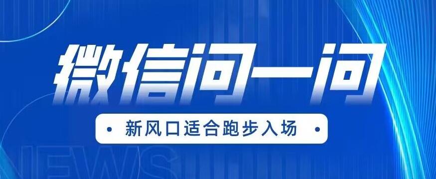 【副业项目6729期】全网首发微信问一问新风口变现项目（价值1999元）【揭秘】-天下副业