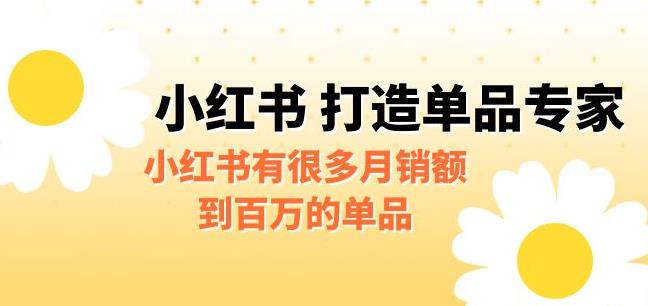 【副业项目6703期】某公众号付费文章《小红书打造单品专家》小红书有很多月销额到百万的单品-天下副业