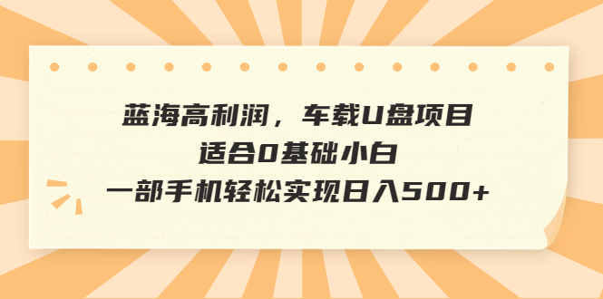 【副业项目6800期】蓝海高利润，车载U盘项目，适合0基础小白，一部手机轻松实现日入500+-天下副业