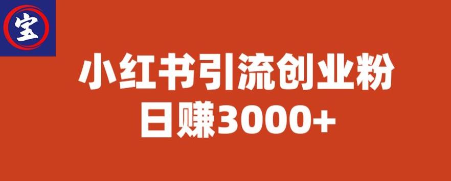 【副业项目6676期】宝哥小红书引流创业粉，日赚3000+【揭秘】-天下副业