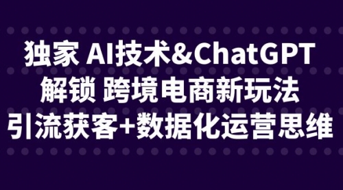 【副业项目6780期】独家 AI技术&ChatGPT解锁 跨境电商新玩法，引流获客+数据化运营思维-天下副业