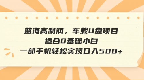 【副业项目6781期】蓝海高利润，车载U盘项目，适合0基础小白，一部手机轻松实现一天500+-天下副业