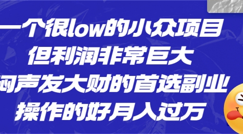 【副业项目6782期】一个很low的小众项目，但利润非常巨大，闷声发大财的首选副业，月入过万-天下副业