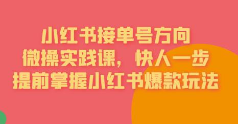 【副业项目6820期】接单号方向·小红书微操实践课，快人一步，提前掌握小红书爆款玩法-天下副业