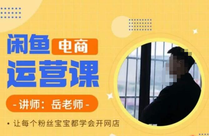 【副业项目6829期】岳老师·闲鱼电商运营课，让每个粉丝宝宝都学会开网店-天下副业