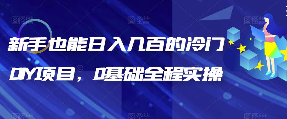 【副业项目6865期】新手也能日入几百的冷门DIY项目，0基础全程实操【揭秘】-天下副业