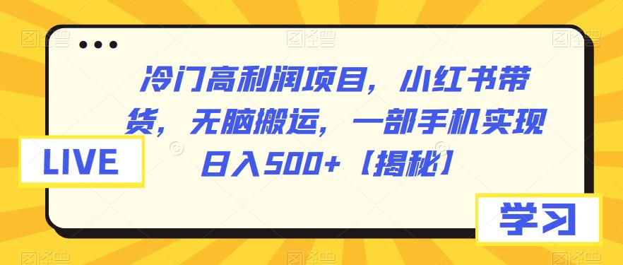 【副业项目6875期】冷门高利润项目，小红书带货，无脑搬运，一部手机实现日入500+【揭秘】-天下副业