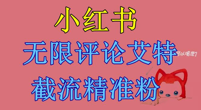 【副业项目6846期】小红书无限评论艾特截流精准粉（软件+教程）-天下副业