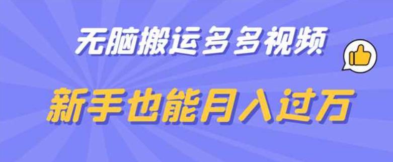 【副业项目6853期】无脑搬运多多视频，新手也能月入过万【揭秘】-天下副业