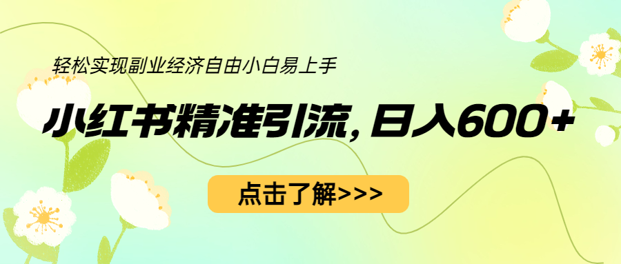 【副业项目6650期】小红书精准引流，小白日入600+，轻松实现副业经济自由（教程+1153G资源）-天下副业