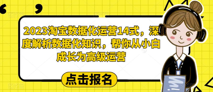 【副业项目6599期】2023淘宝数据化-运营 14式，深度解析数据化知识，帮你从小白成长为高级运营-天下副业