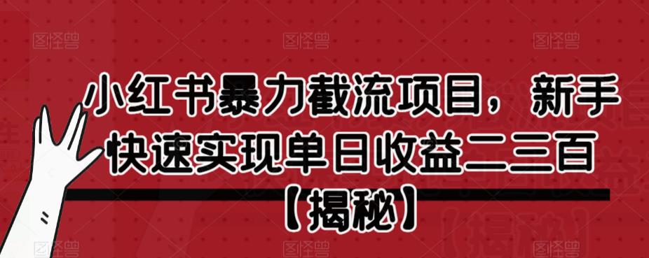 【副业项目6889期】小红书暴力截流项目，新手快速实现单日收益二三百【仅揭秘】-天下副业
