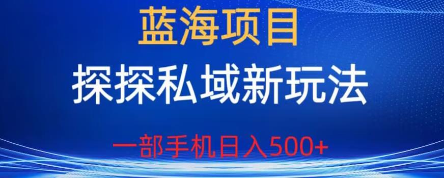 【副业项目6894期】蓝海项目，探探私域新玩法，一部手机日入500+很轻松【揭秘】-天下副业
