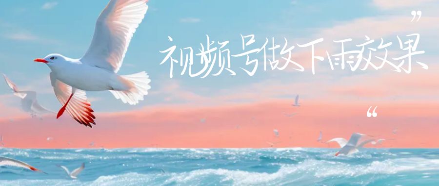 【副业项目6913期】视频号做下雨视频一个账号一周涨粉10W+年入100w-天下副业