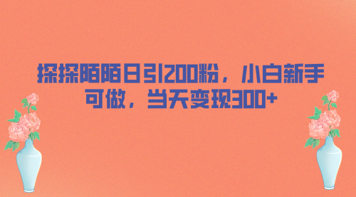 【副业项目7026期】探探陌陌日引200粉，小白新手可做，当天就能变现300+-天下副业