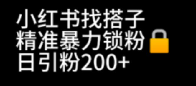 【副业项目7040期】小红书找搭子暴力精准锁粉+引流日引200+精准粉-天下副业