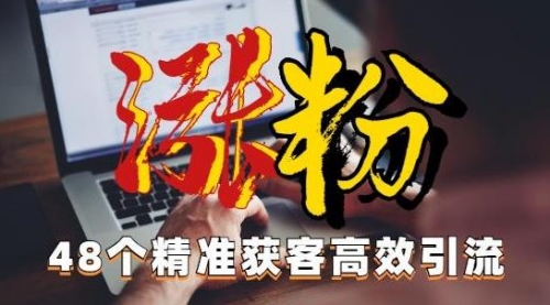 【副业项目7097期】独家分享48个引流绝技，再没粉丝只能怪自己了！-天下副业