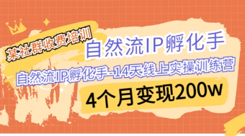 【副业项目7109期】自然流IP孵化手-14天线上实操训练营 4个月变现200w-天下副业