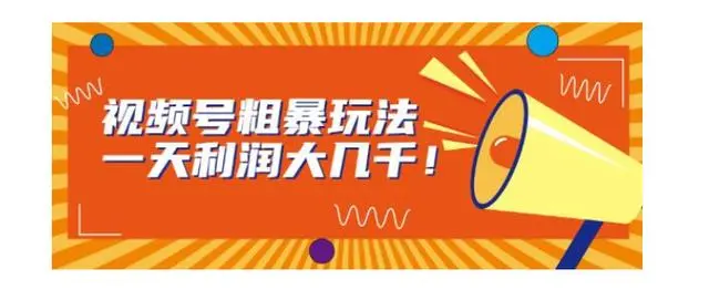【副业项目7125期】视频号粗暴玩法，一天利润大几千！-天下副业