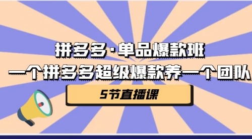【副业项目第7171期】拼多多·单品爆款班，一个拼多多超级爆款养一个团队-天下副业