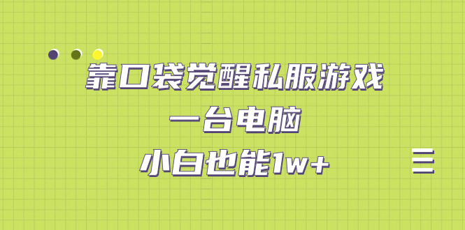 【副业项目7248期】靠口袋觉醒私服游戏，一台电脑，小白也能1w+（教程+工具+资料）-天下副业