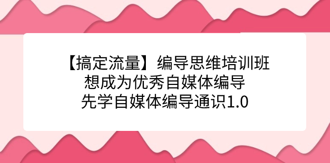 【副业项目7456期】编导思维培训班，想成为优秀自媒体编导先学自媒体编导通识1.0-天下副业