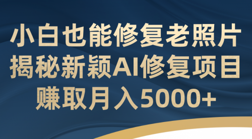 【副业项目7218期】小白也能修复老照片！揭秘新颖AI修复项目-天下副业