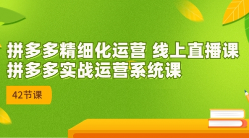 【副业项目7292期】2023年新课-拼多多精细化运营-天下副业