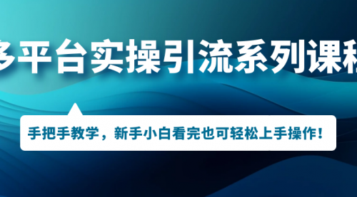 【副业项目7293期】多平台实操引流系列课程，手把手教学，新手小白看完也可轻松上手引流操作！-天下副业