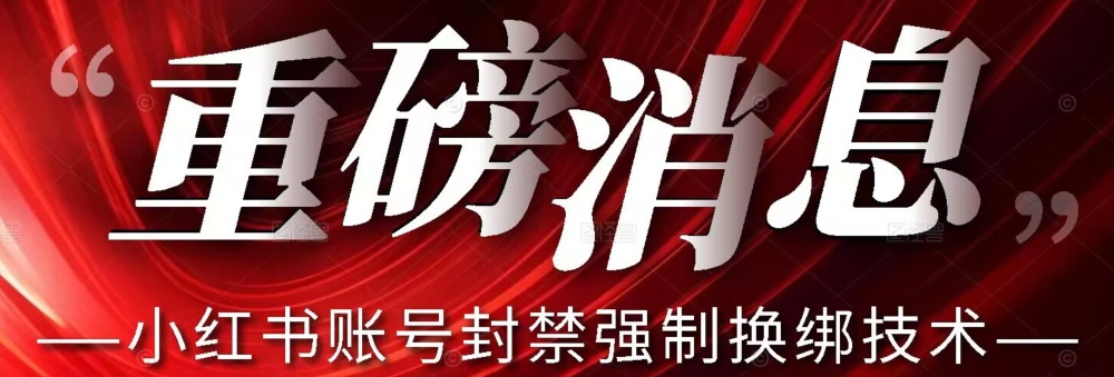 【副业项目7574期】【最新】小红书账号封禁强制换绑技术可日赚300-天下副业