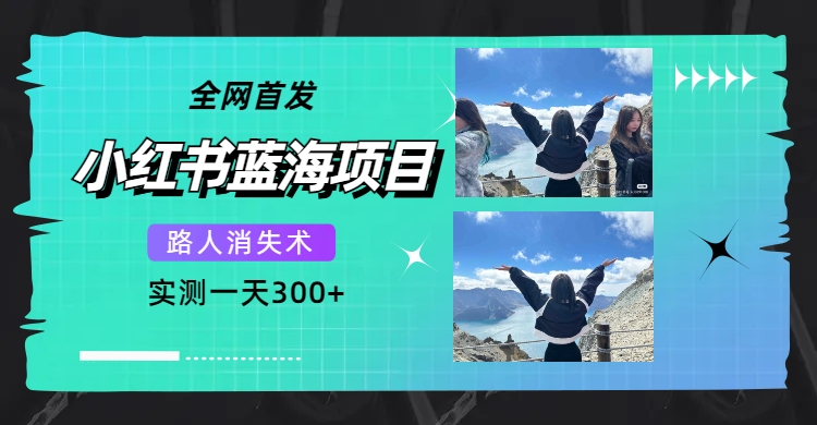 【副业项目7750期】全网首发，小红书蓝海项目，路人消失术，实测一天300+（教程+工具）-天下副业