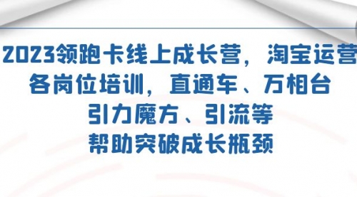 【副业项目7677期】2023领跑·卡 线上成长营 淘宝运营各岗位培训 直通车 万相台 引力魔方 引流-天下副业