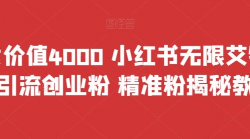 【副业项目7956期】价值4000 小红书无限艾特暴力引流创业粉 精准粉揭秘教程-天下副业