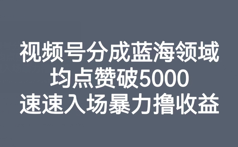 【副业项目8023期】视频号分成蓝海领域，均点赞破5000，速速入场暴力撸收益-天下副业