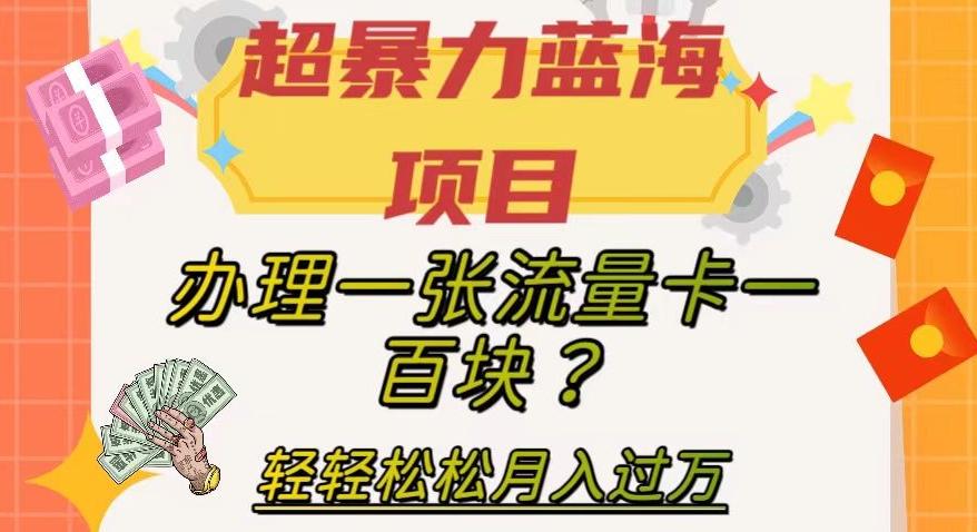 【副业项目8024期】超暴力蓝海项目，办理一张流量卡一百块？轻轻松松月入过万，保姆级教程【揭秘】-天下副业