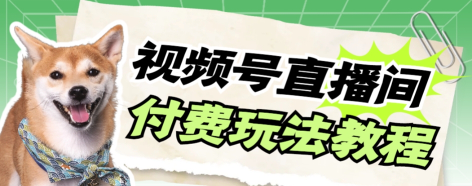 【副业项目7973期】视频号美女付费无人直播，轻松日入500+-天下副业