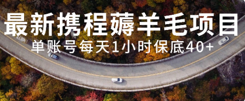 【副业项目8232期】最新携程薅羊毛项目，单账号每天1小时保底收益40+，可矩阵操作-天下副业