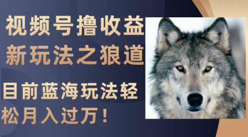 【副业项目8271期】视频号撸收益新玩法之狼道，目前蓝海玩法轻松月入过万！-天下副业