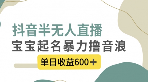 【副业项目8385期】抖音半无人直播，宝宝起名，暴力撸音浪，单日收益600+-天下副业