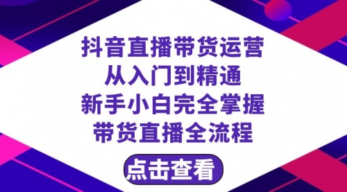 【副业项目8483期】抖音直播带货 运营从入门到精通，新手完全掌握带货直播全流程（23节-天下副业